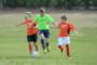Spring 2020 Registration